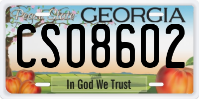 GA license plate CSO8602