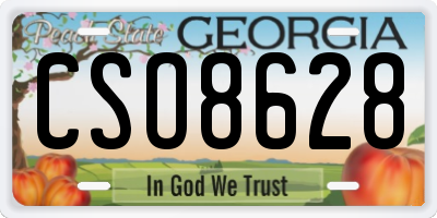 GA license plate CSO8628