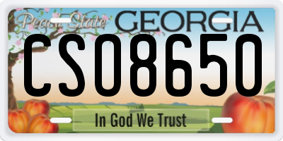GA license plate CSO8650