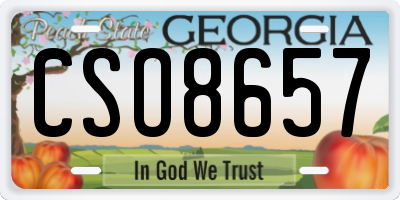 GA license plate CSO8657