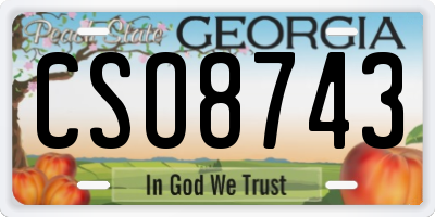 GA license plate CSO8743