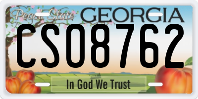 GA license plate CSO8762