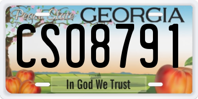 GA license plate CSO8791