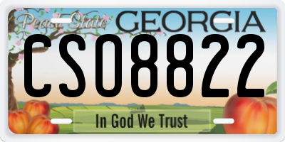 GA license plate CSO8822