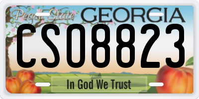 GA license plate CSO8823
