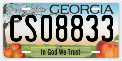 GA license plate CSO8833