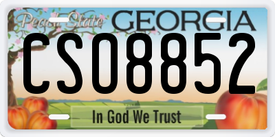 GA license plate CSO8852