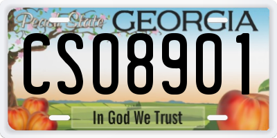 GA license plate CSO8901