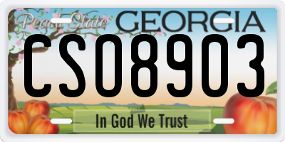 GA license plate CSO8903