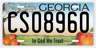 GA license plate CSO8960