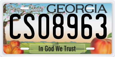 GA license plate CSO8963