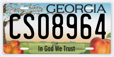 GA license plate CSO8964