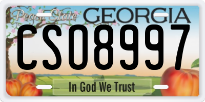 GA license plate CSO8997