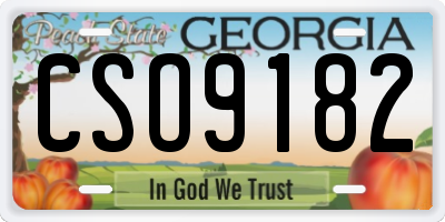 GA license plate CSO9182
