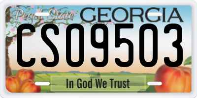 GA license plate CSO9503