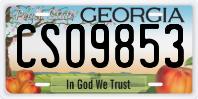 GA license plate CSO9853