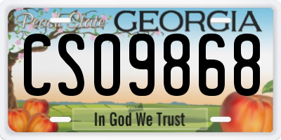 GA license plate CSO9868