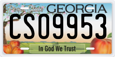 GA license plate CSO9953