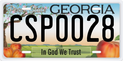 GA license plate CSP0028