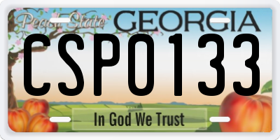 GA license plate CSP0133