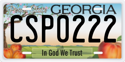 GA license plate CSP0222