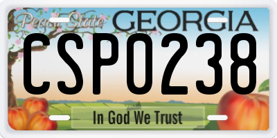 GA license plate CSP0238
