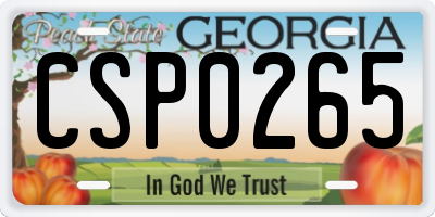 GA license plate CSP0265