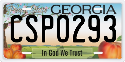 GA license plate CSP0293
