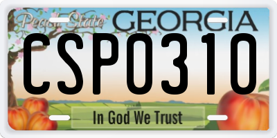 GA license plate CSP0310