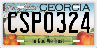GA license plate CSP0324