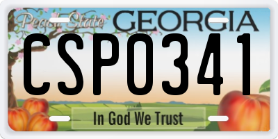 GA license plate CSP0341