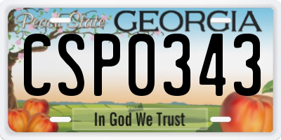 GA license plate CSP0343