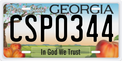 GA license plate CSP0344