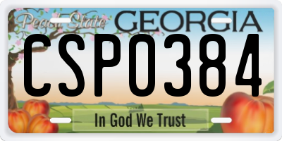GA license plate CSP0384