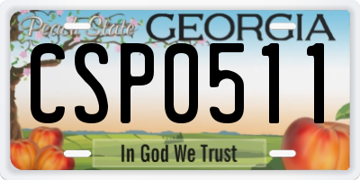 GA license plate CSP0511