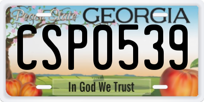 GA license plate CSP0539