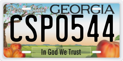 GA license plate CSP0544