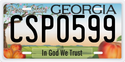 GA license plate CSP0599