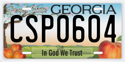GA license plate CSP0604