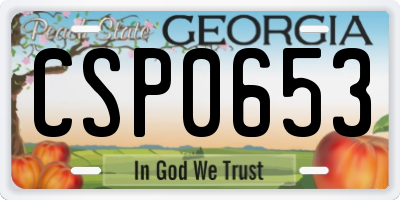 GA license plate CSP0653