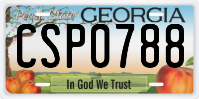 GA license plate CSP0788