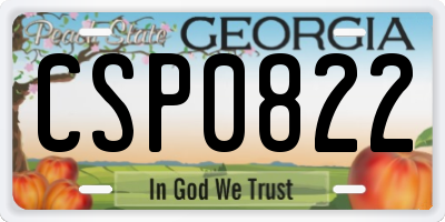 GA license plate CSP0822