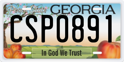 GA license plate CSP0891