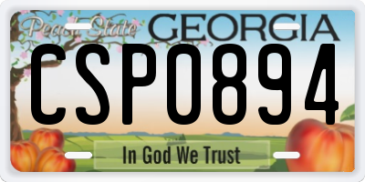 GA license plate CSP0894