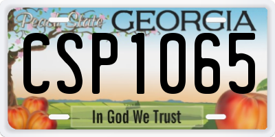 GA license plate CSP1065