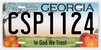 GA license plate CSP1124