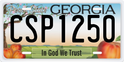 GA license plate CSP1250