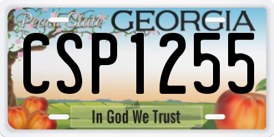 GA license plate CSP1255