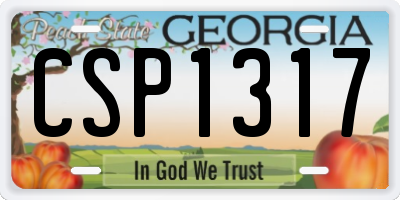 GA license plate CSP1317