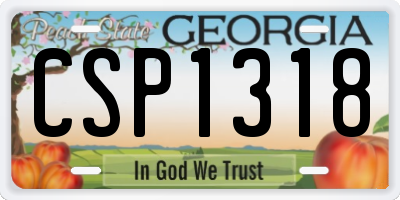 GA license plate CSP1318